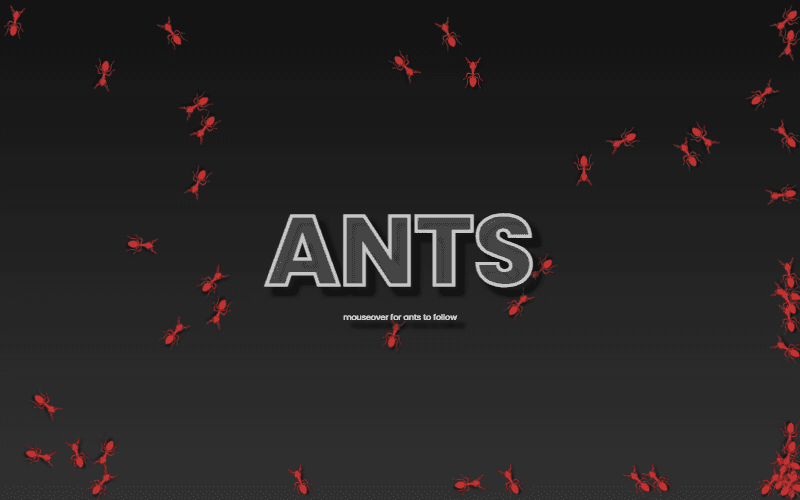 Following Ants