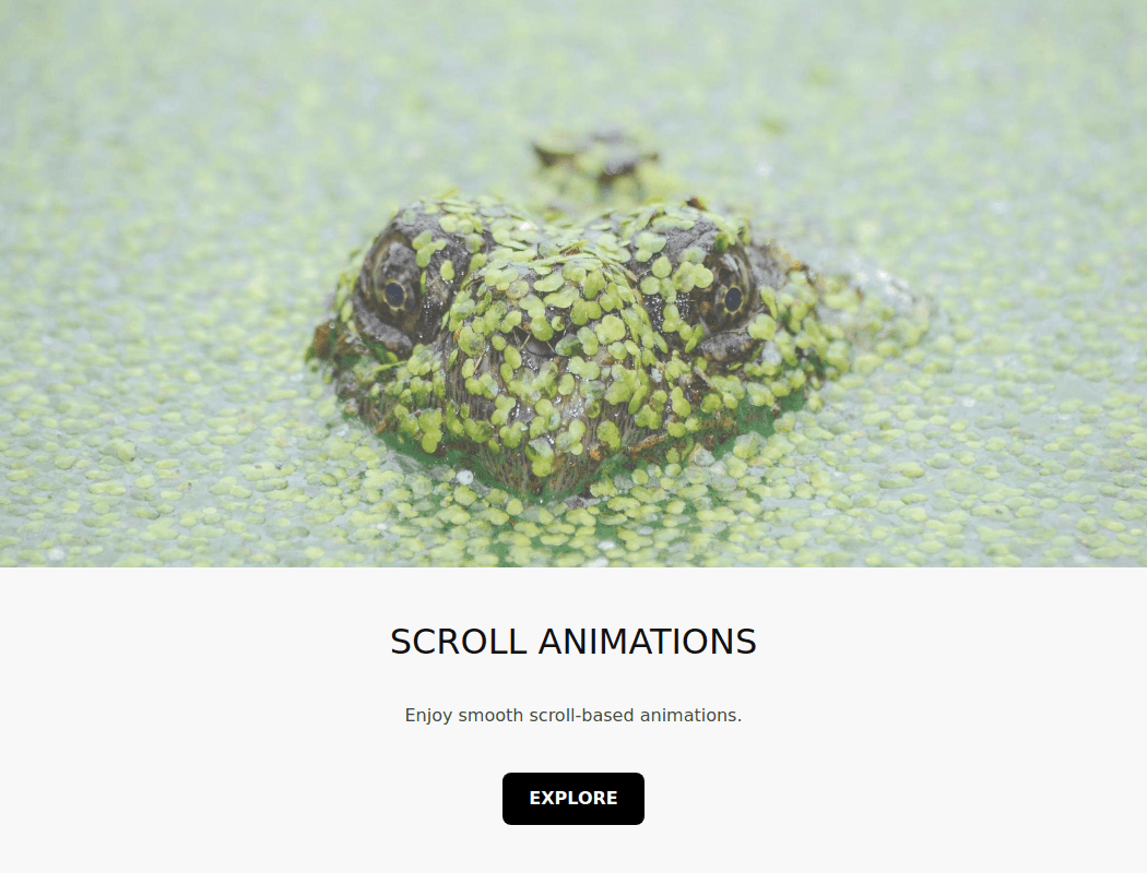 Scroll Animation - Inshad Ali